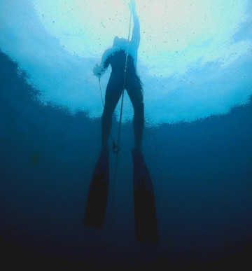 Blue Immersion Freediving-涛岛必去景点