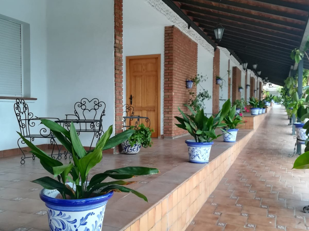 萨尔瓦多酒店主图