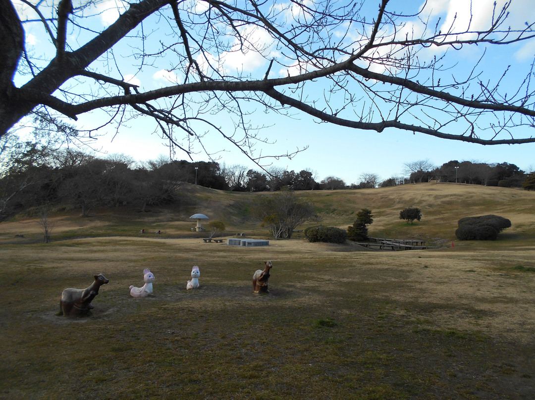 Misaki Park-盘城市必去景点