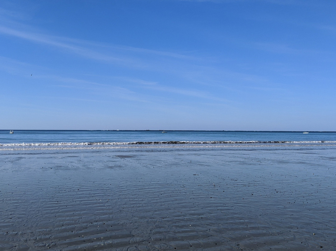 Fenix Hotel - On The Beach主图