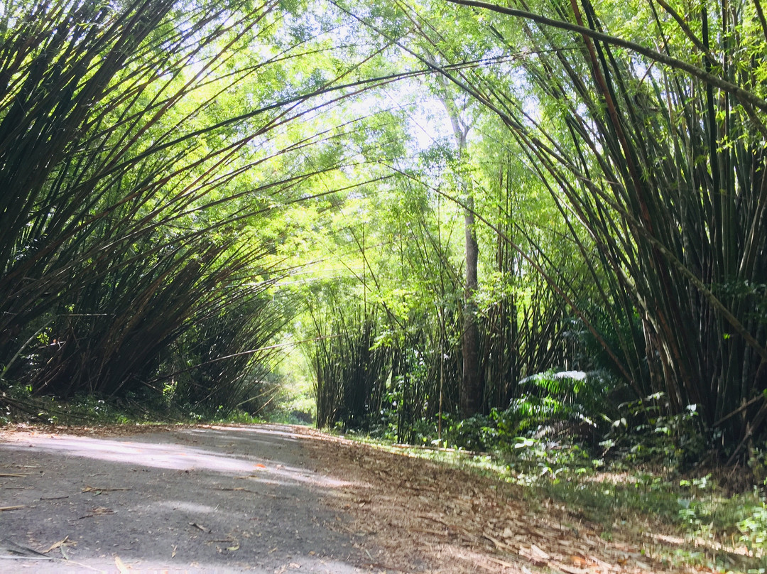 Bamboo Cathedral-Chaguaramas必去景点