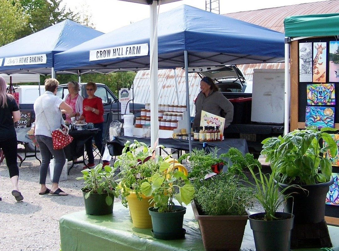 Fenelon Falls Farmers' Market景点图片