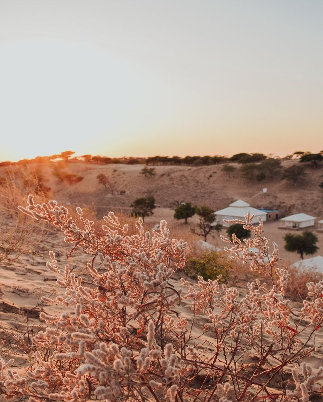 Hariyali Dhani Camps and Resorts主图