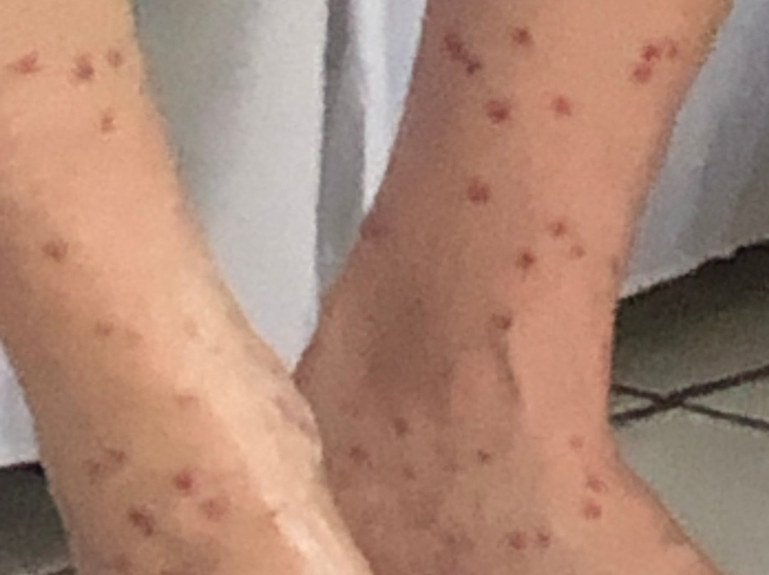 Best of Both Worlds主图