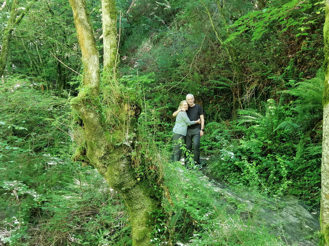 Molino del Infierno/Infernuko-Etxalar必去景点