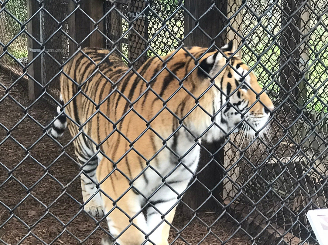 Central Florida Animal Reserve-圣克劳德必去景点