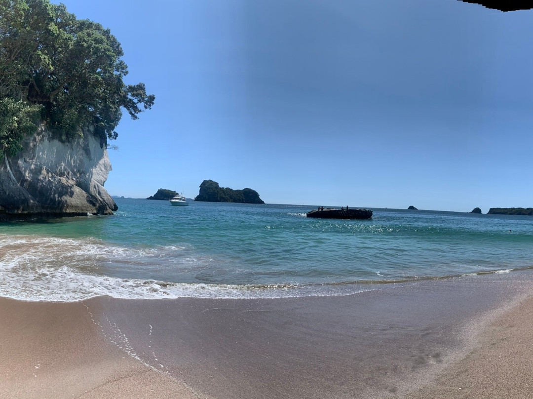 Kiwi Sights and Tours-奥克兰必去景点