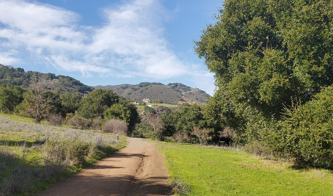 Picchetti Winery-库柏蒂诺必去景点