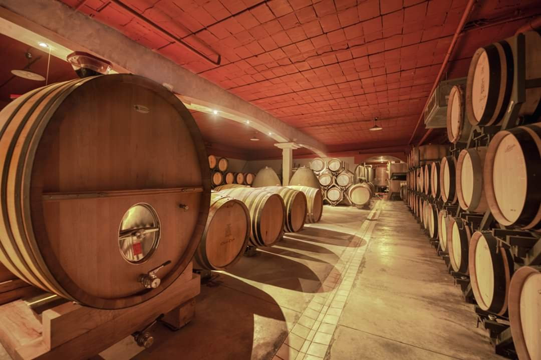 Domaine Chante Cigale-教皇新堡必去景点