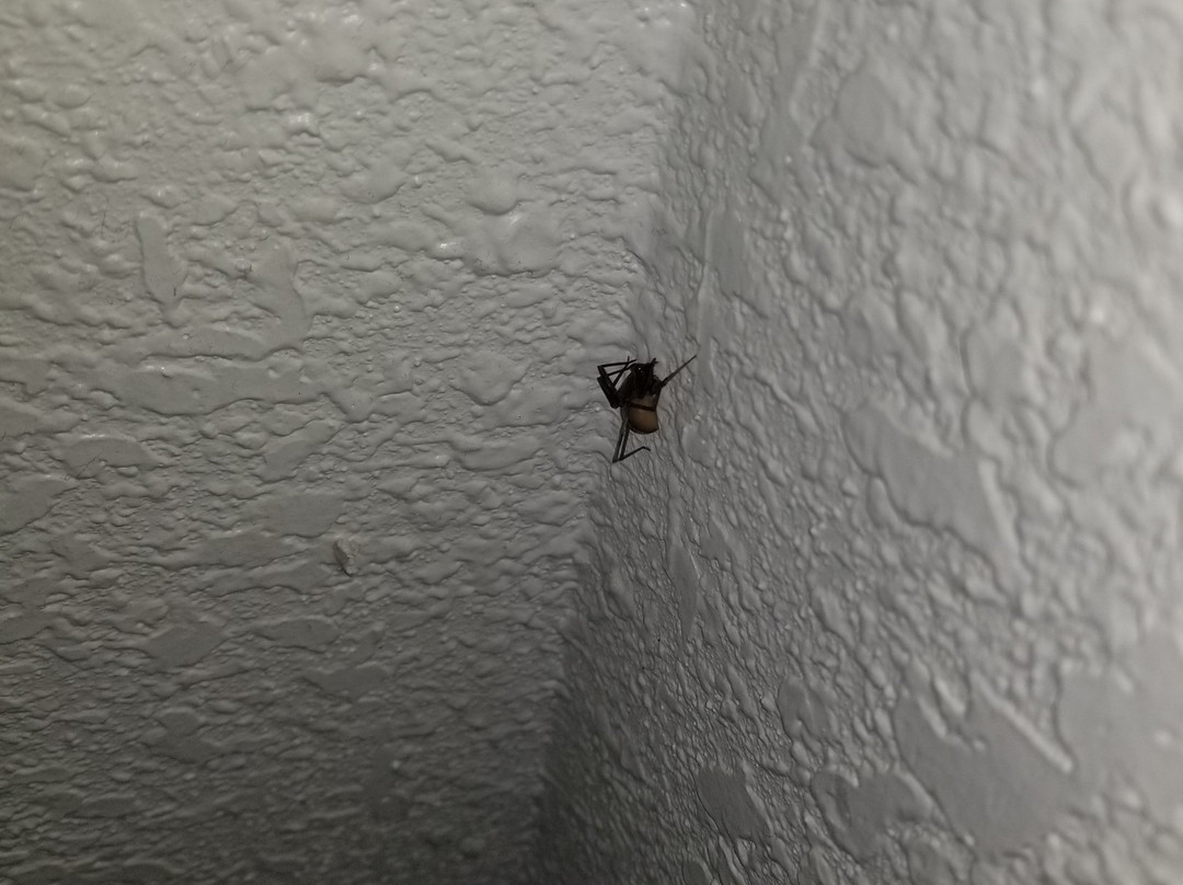 Booneslick Lodge主图