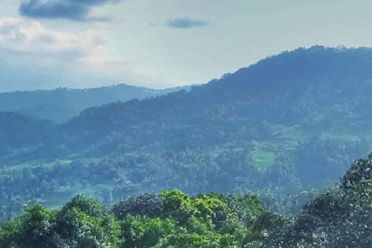 Loger-佩拉德尼亚必去景点