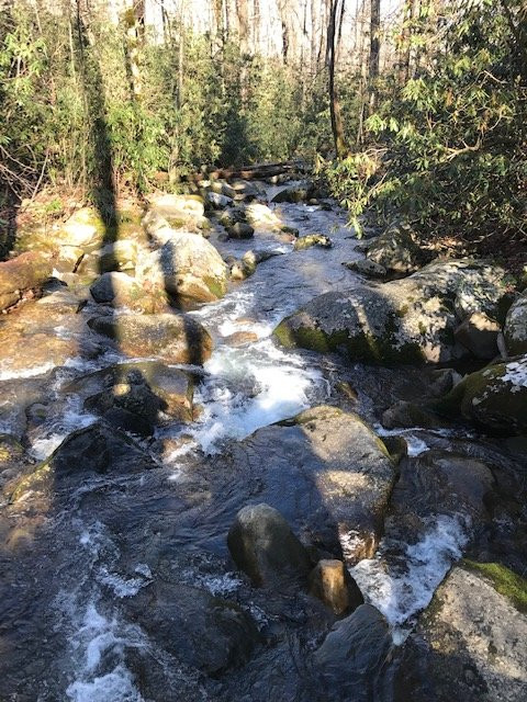 Hen Wallow Water Falls-大雾山国家公园必去景点