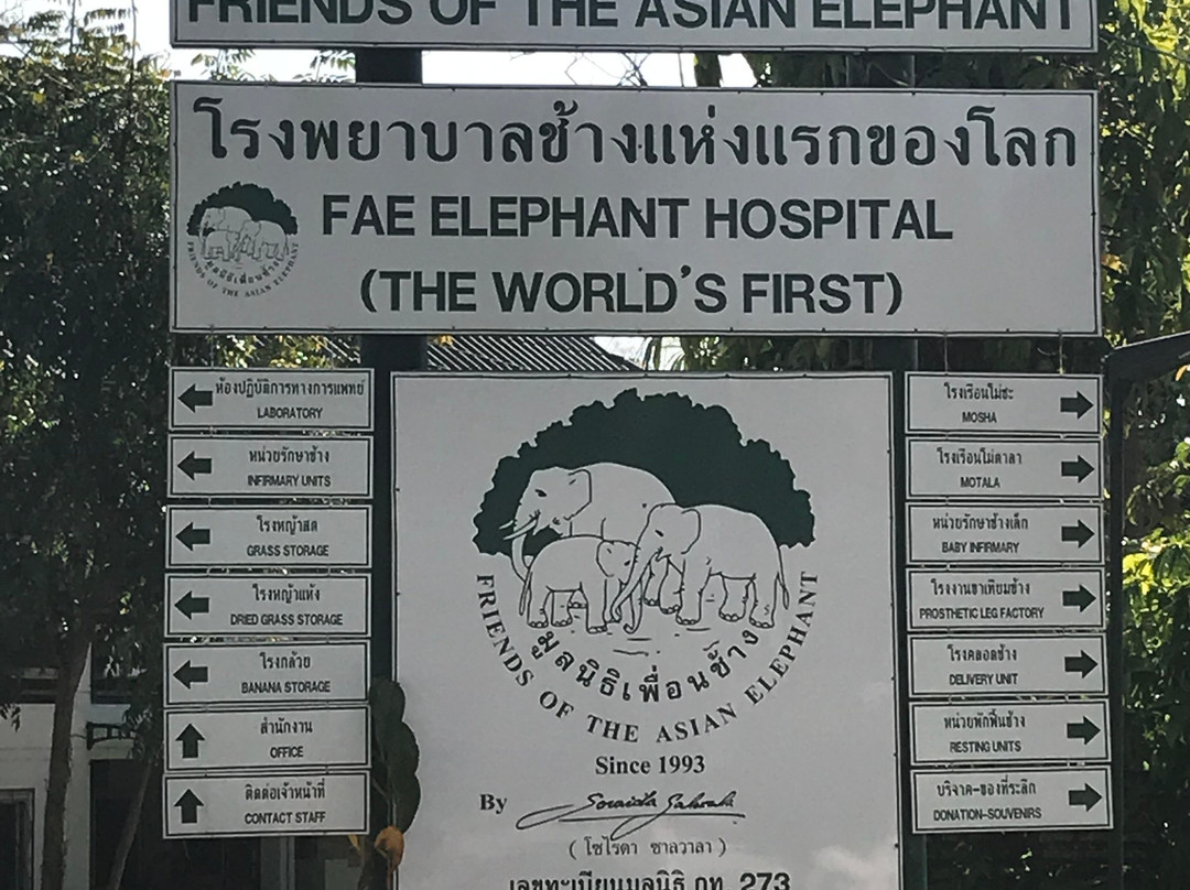 Friends of the Asian Elephant-南邦必去景点