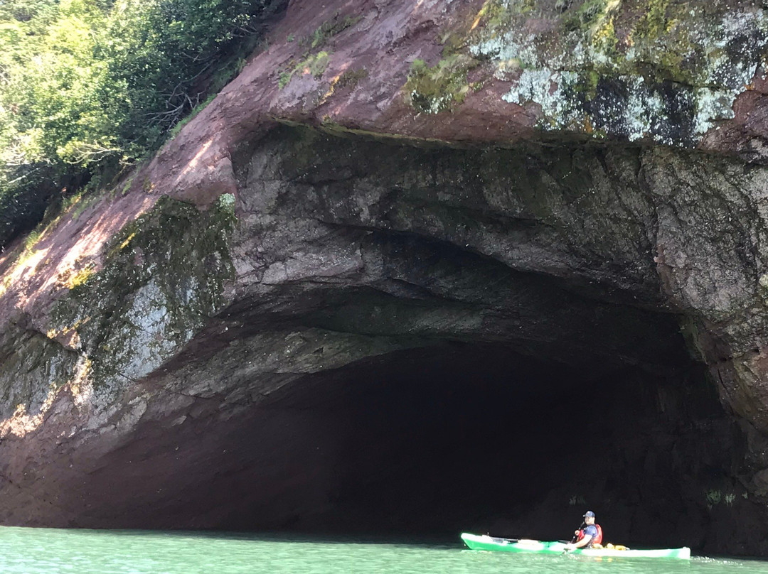 Bay Of Fundy Adventures-St. Martins必去景点