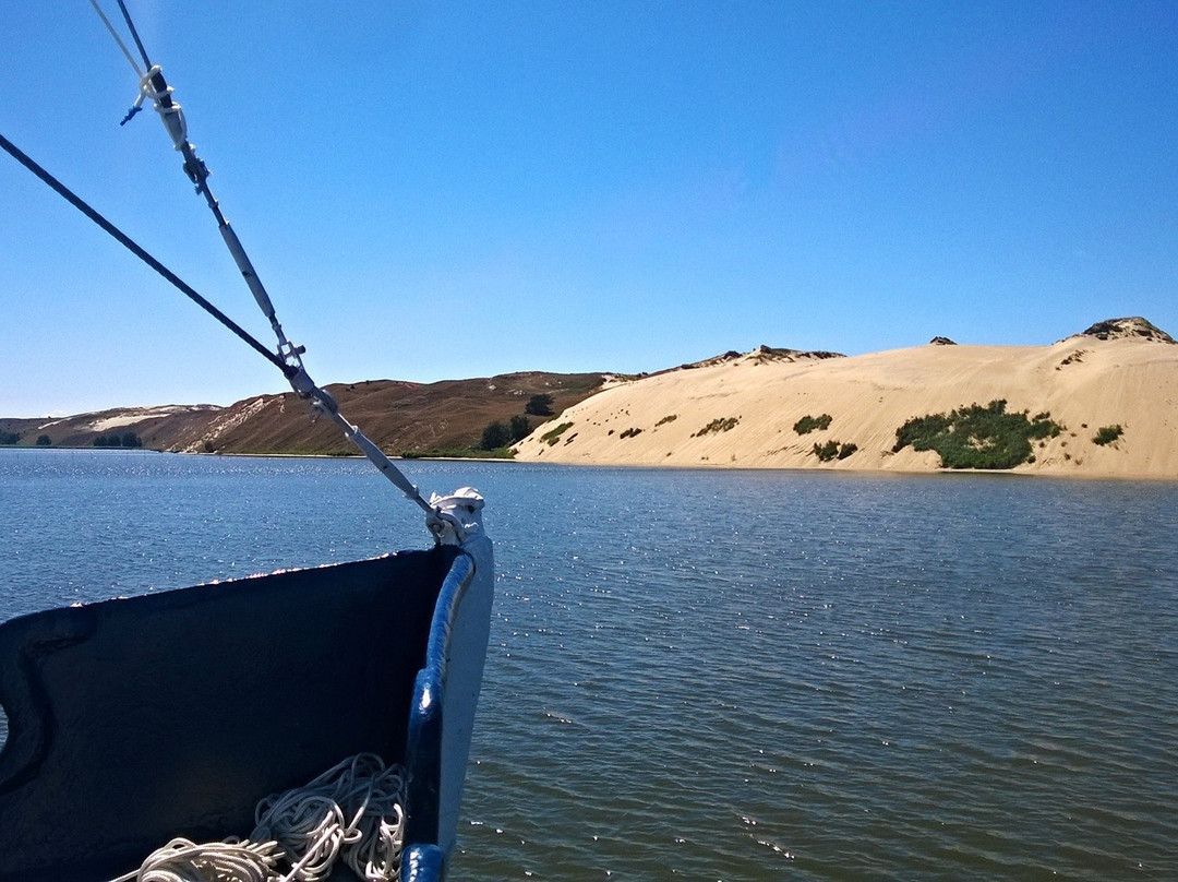 Boat Tour From Juodkante To Dead Dunes景点图片