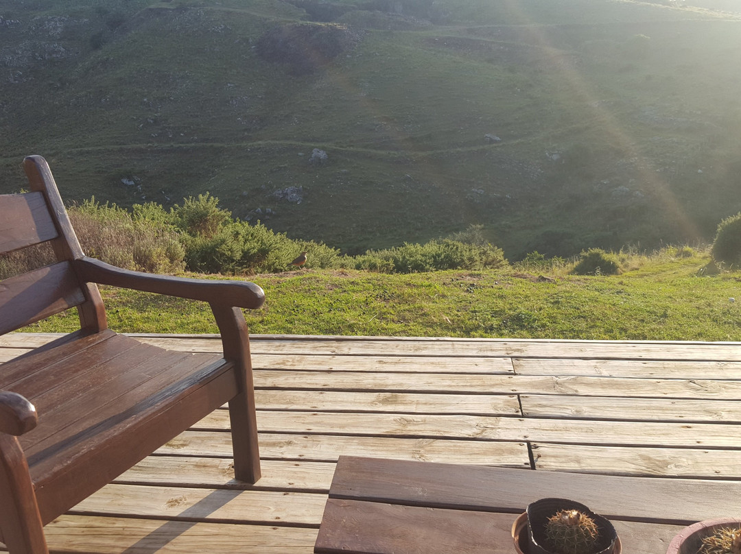 Cerro Mistico Hotel y Ecoparque主图