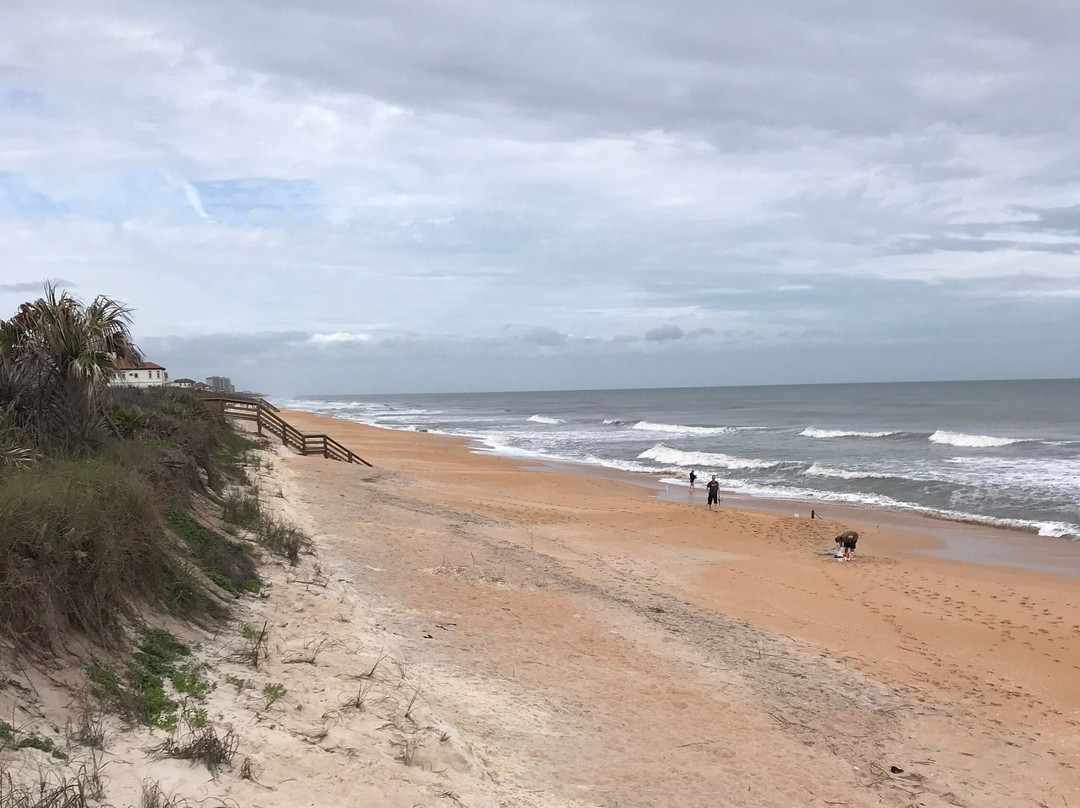 Varn Park-棕榈海岸必去景点