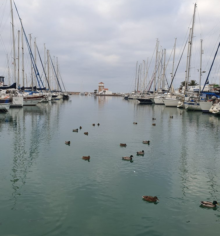 Puerto Almerimar景点图片