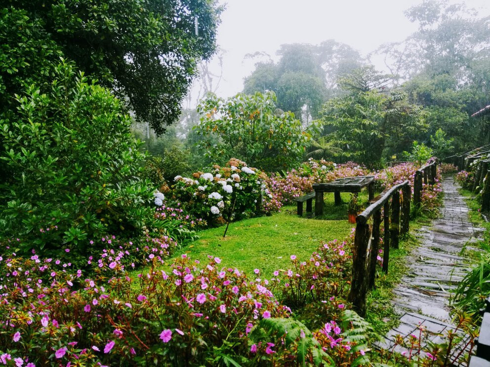 Refugio de Vida Silvestre Cerro Dantas景点图片