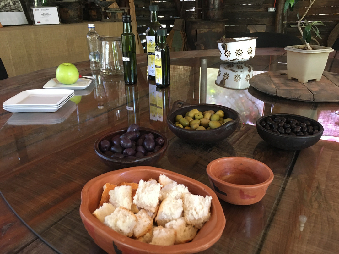 Olivos Centenarios-Huasco必去景点