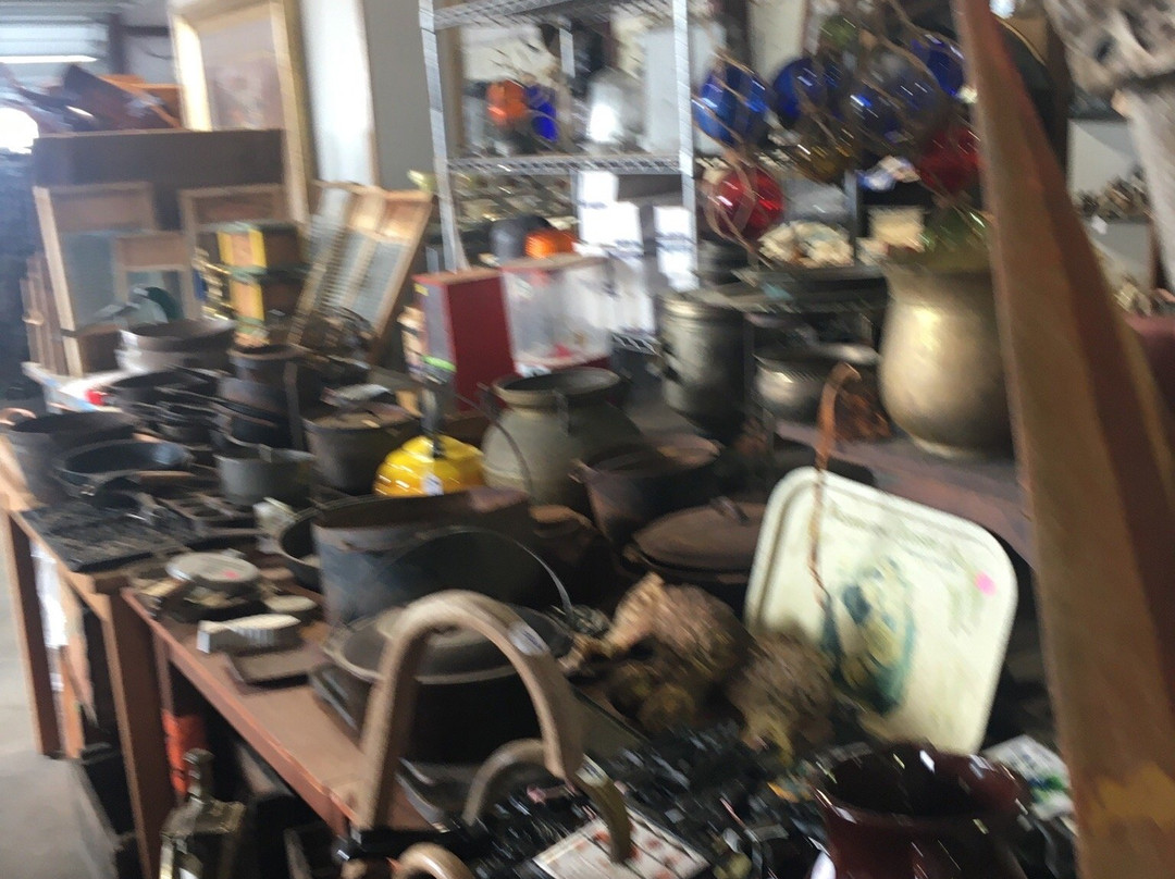 Busted Pot Junk Museum & Wells Discount Center-罗克波特必去景点