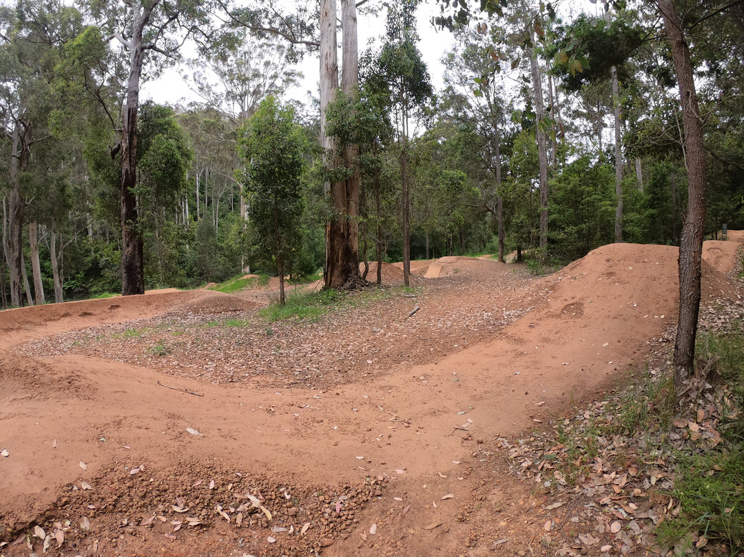Pemberton Mountain Bike Park-彭伯顿必去景点