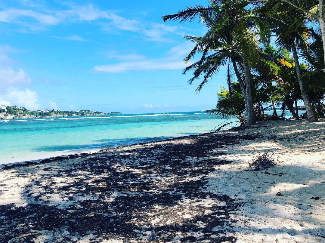 Résidence Turquoise Guadeloupe - Vue Mer Et Lagon主图
