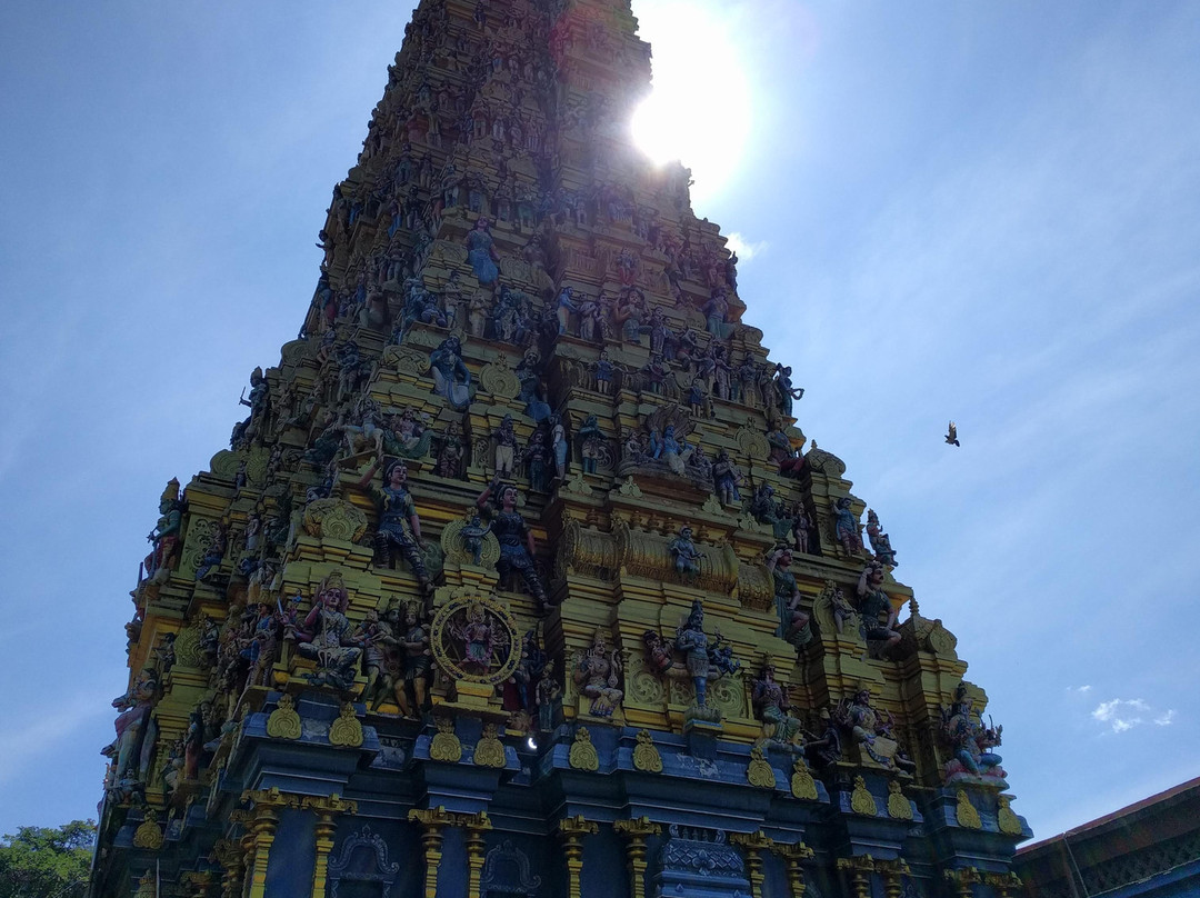 Loving Lanka Tours景点图片