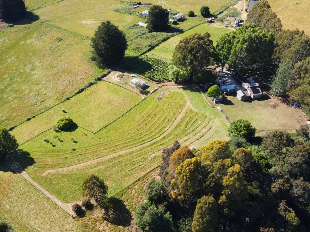 Wilmot Hills Orchard & Distillery-Wilmot必去景点