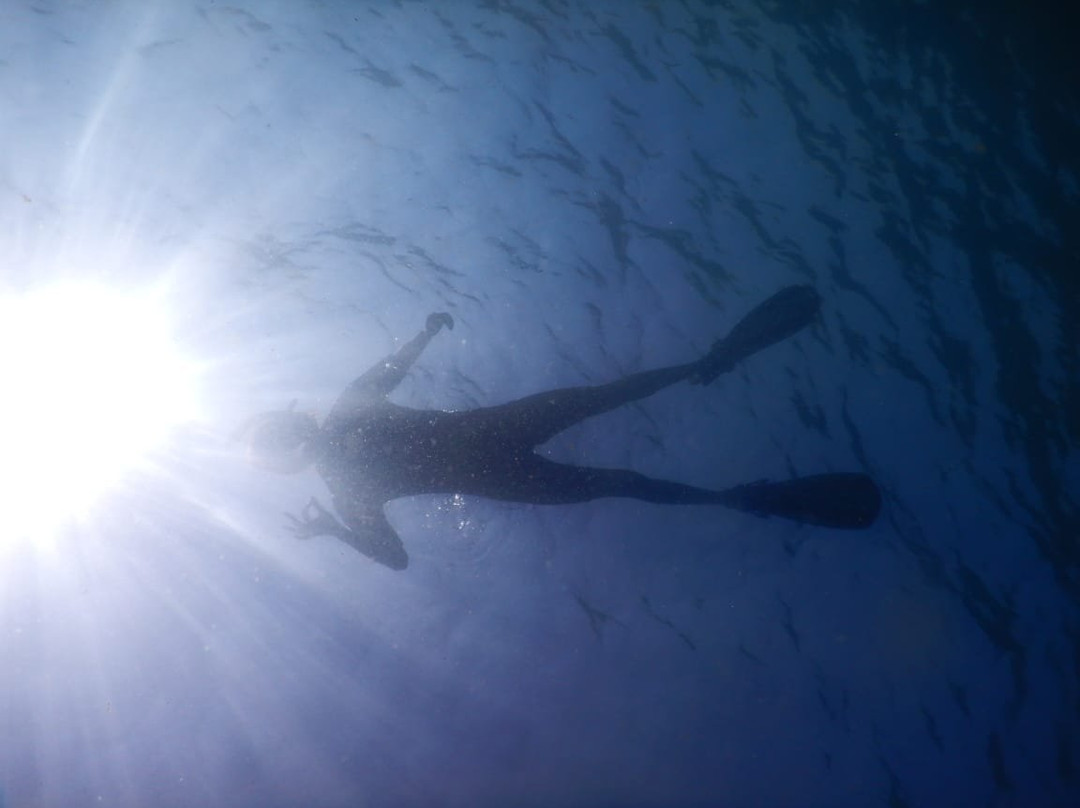 Searama Diving-扬东必去景点