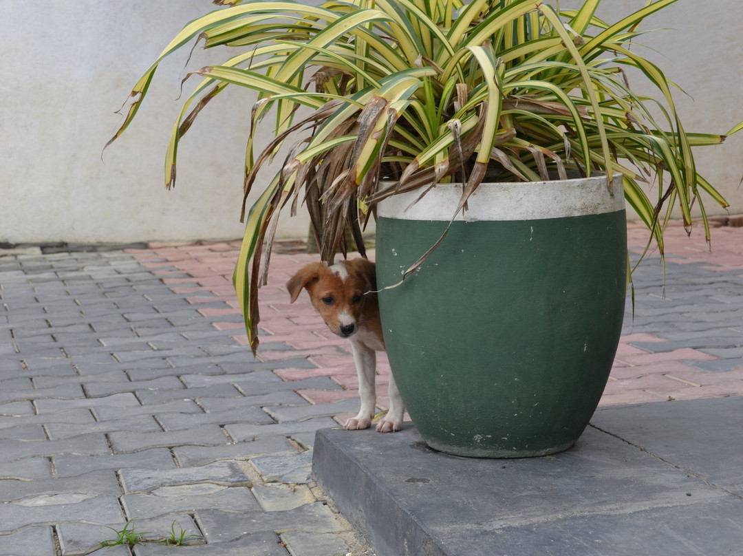 Italia Beach Hotel主图