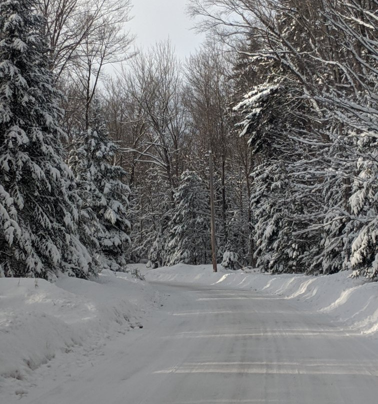 Moose River Farm景点图片