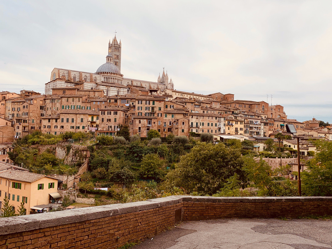 Basilica di San Clemente in Santa Maria dei Servi-锡耶纳必去景点