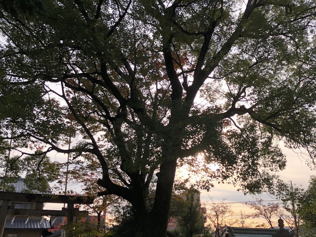 Omiwa Shrine-一宫市必去景点