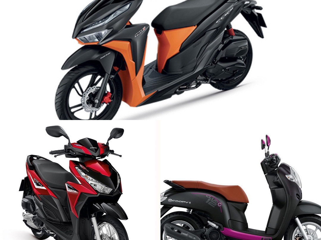 The White Orchid Rentals & Tours-Khlong Muang必去景点