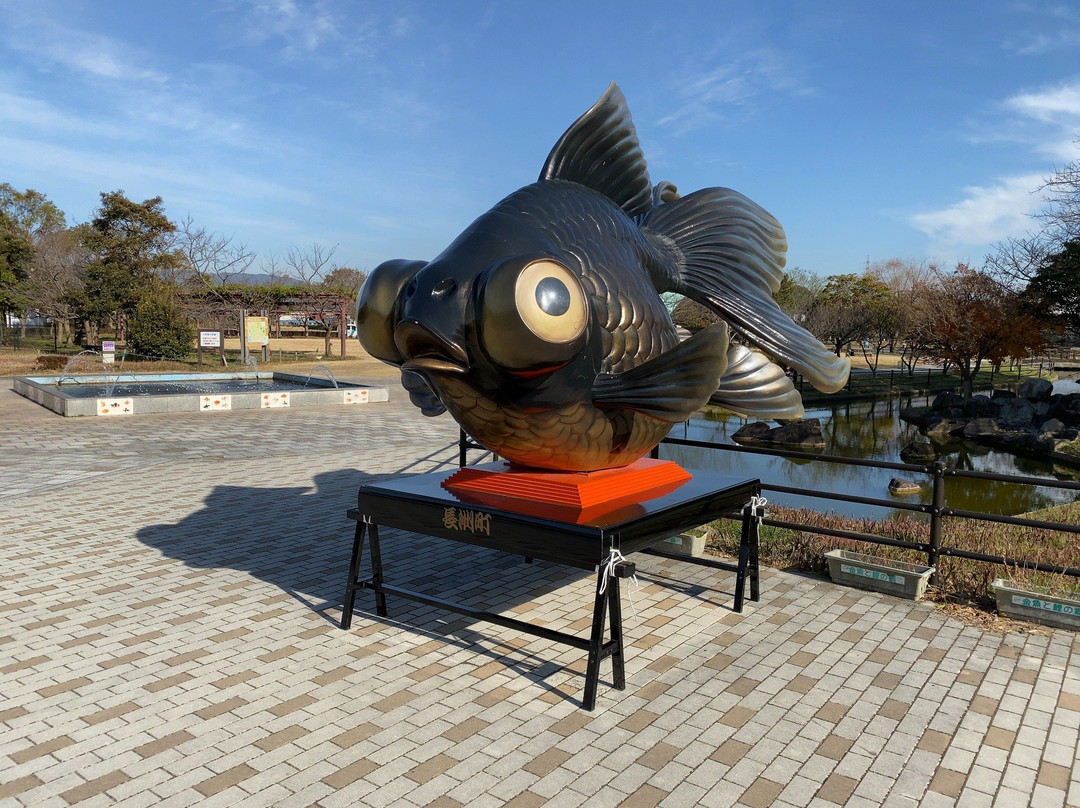 Kingyoto Koino Satohiroba-长洲町必去景点