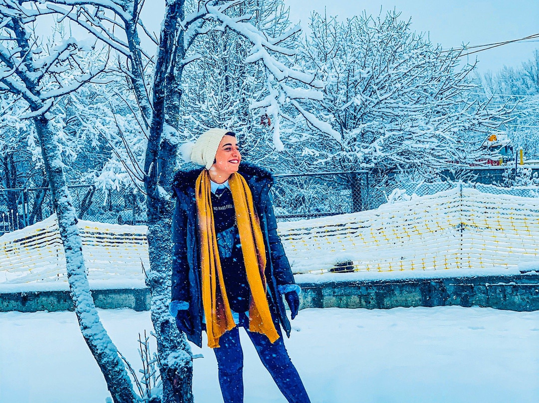 Travel Mates Georgia-第比利斯必去景点