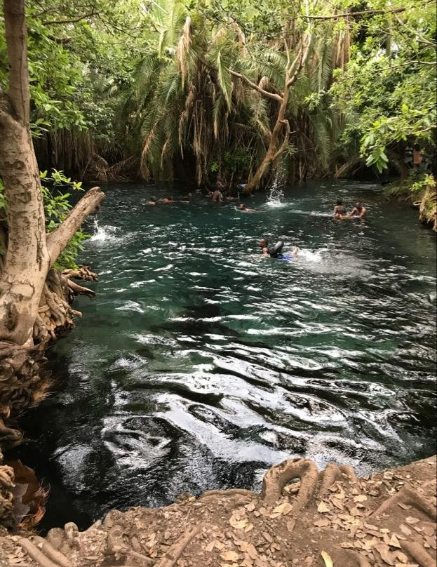 Northern Treks Tanzania-乞力马扎罗山国家公园必去景点