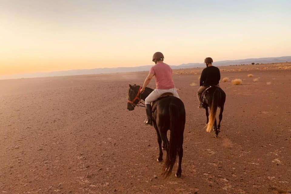 Zagora desert Horse