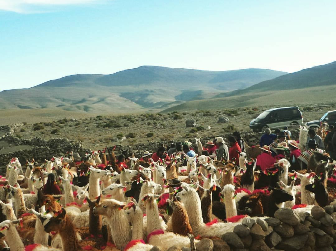 MiTour-伊基克必去景点