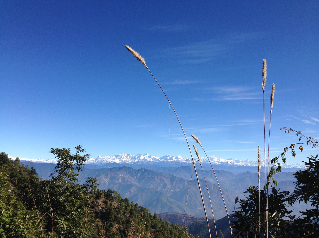 Namastay Himalayas