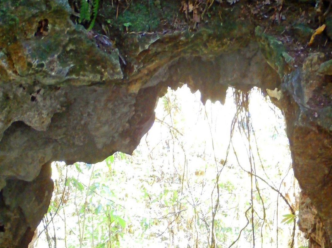 Ruakuri Walk-怀托摩洞穴必去景点