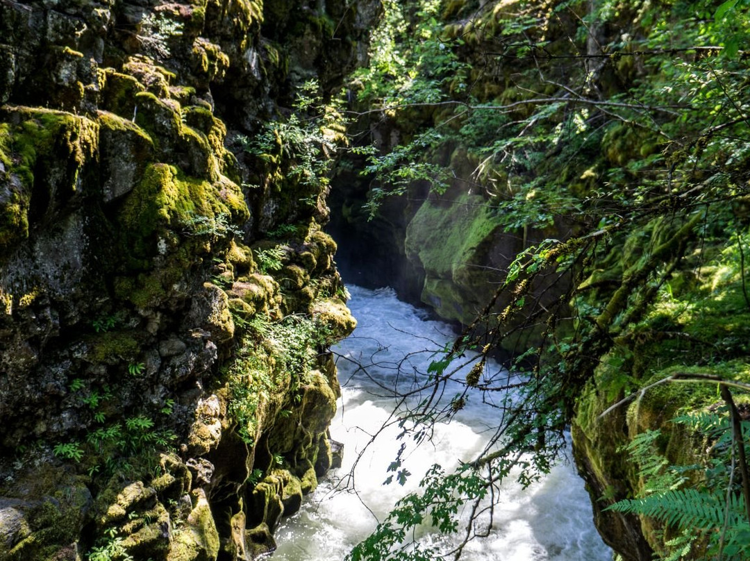 Rogue River Gorge Viewpoint-Prospect必去景点