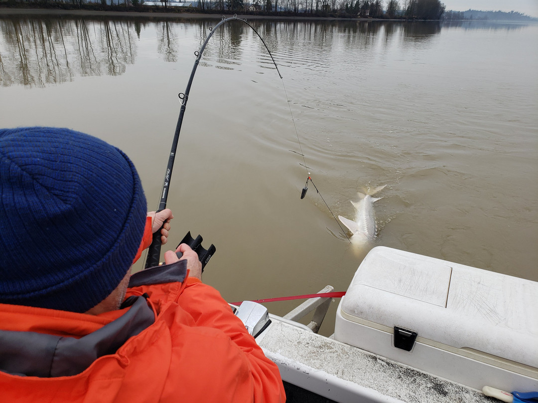 Silversides Fishing Adventures景点图片