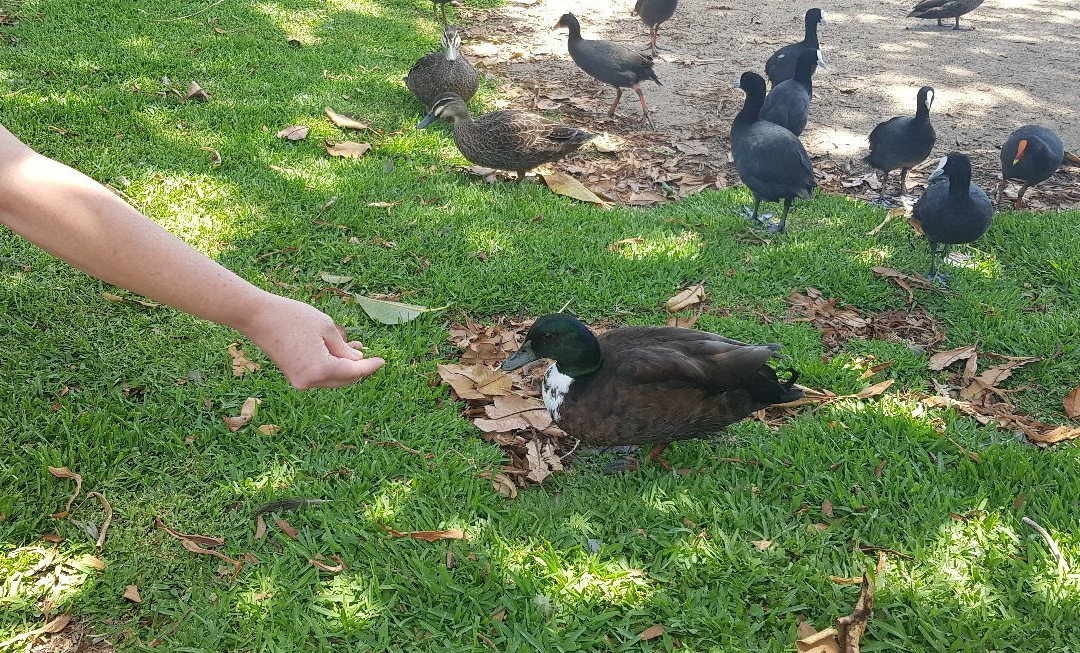 Caboolture Riverlakes Motel主图