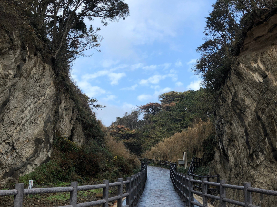 Arasaki Park景点图片