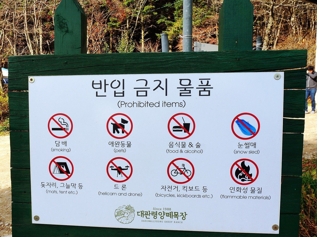 Daegwanryeong Yangtte Ranch-平昌郡必去景点