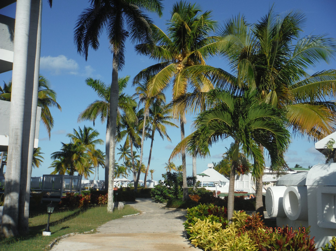 TRYP Cayo Coco主图