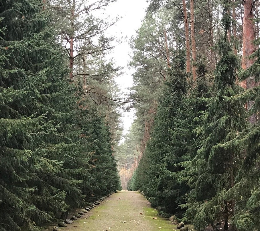 Muzeum Byłego Obozu Zagłady景点图片