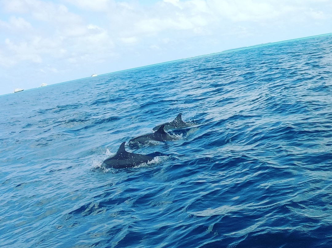 Aquatic Water Sports-Thulusdhoo Island必去景点